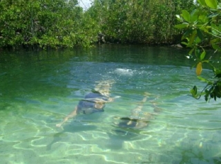  Schnorcheln zu zweit